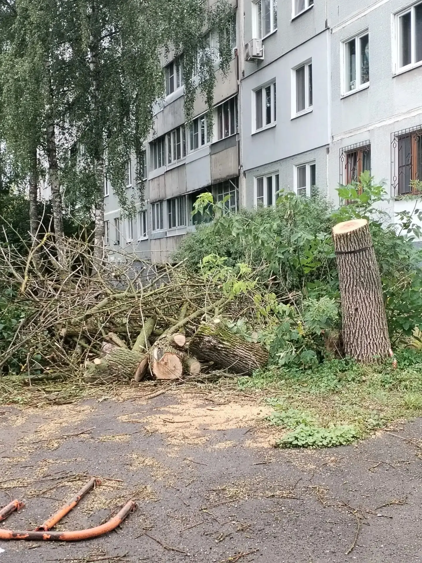 🏡 О выполненных работах по благоустройству 21.08.2026 Мезенцева 44 корпус 1