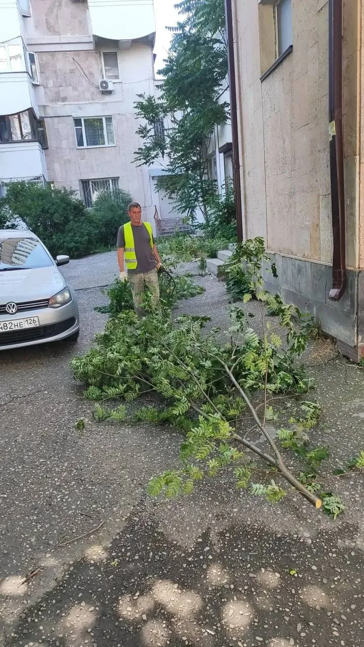 Произведён вывоз веток на ул. Вокзальная, 33а.