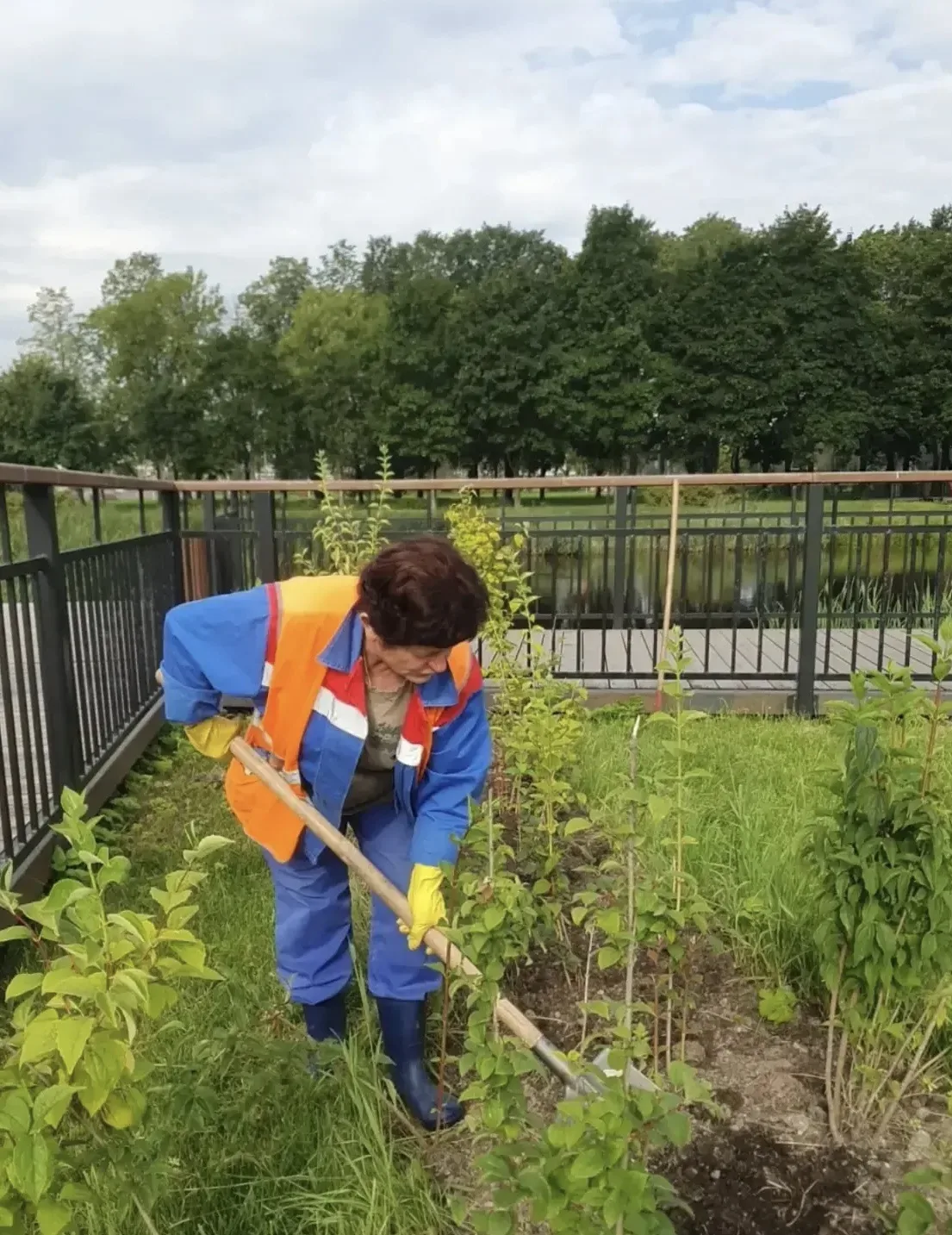 👩🏼‍🌾И снова: поливать, полоть, подкармливать