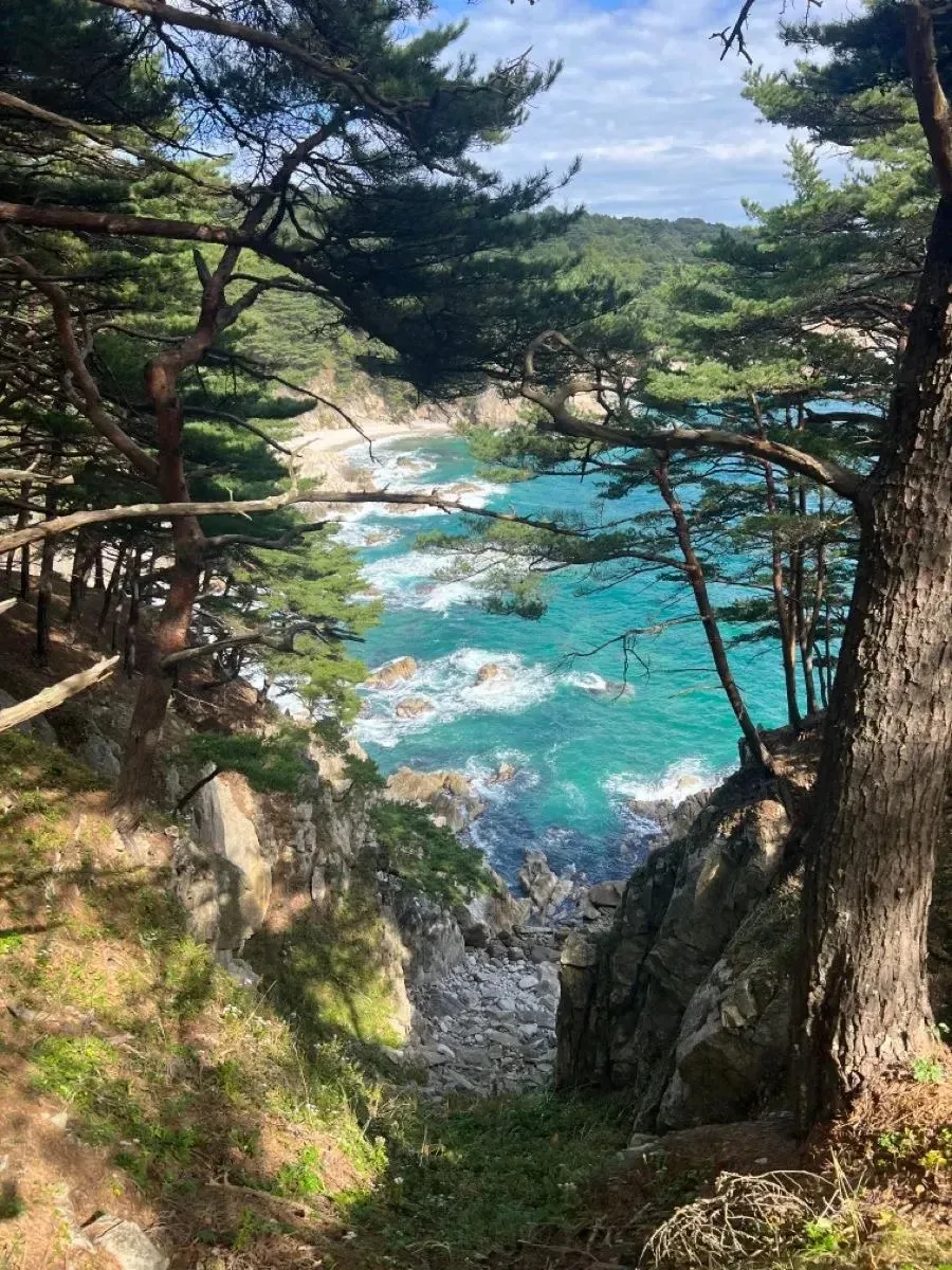 🏝️ Владивосток метит в курорты: миф или новая угроза для Краснодарского края?

⚡️На днях информацио