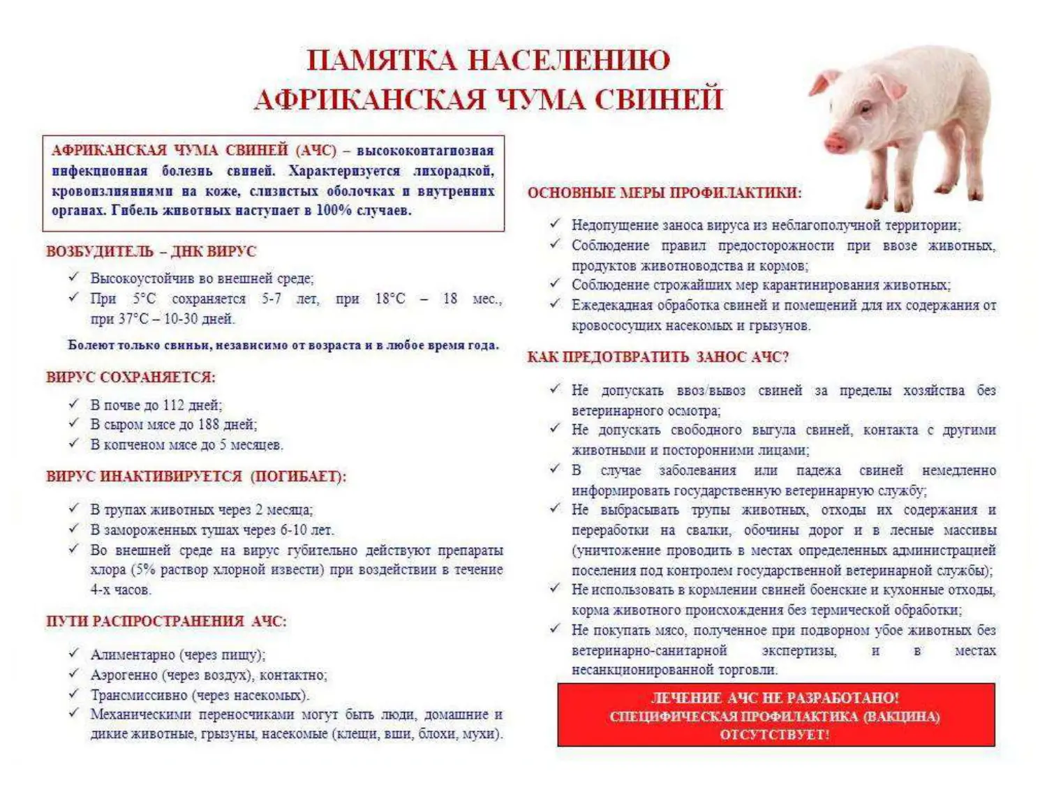 Памятка по африканской чуме свиней!