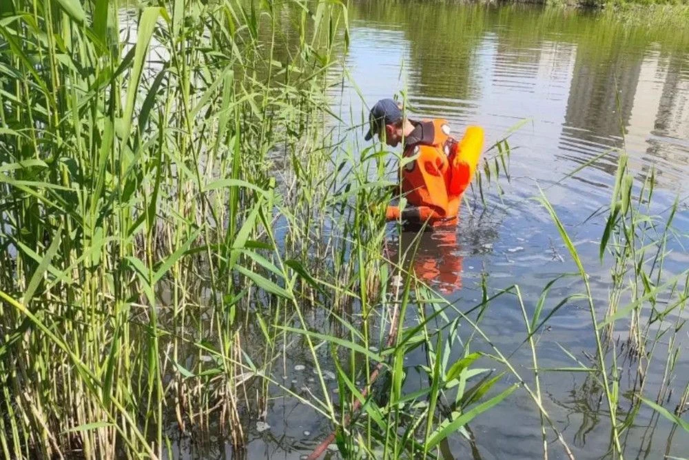 Гору покрышек и сломанный стул достали из озера на Акатуйском

Жители Затулинки превратили озеро с у
