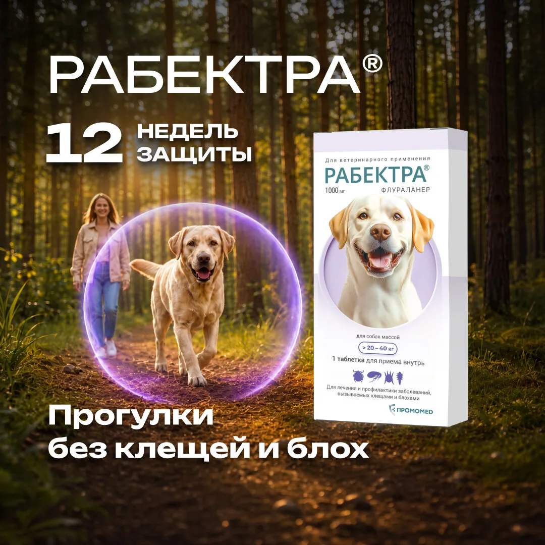 Рабектра: 12 недель защиты от клещей и блох за 1 прием