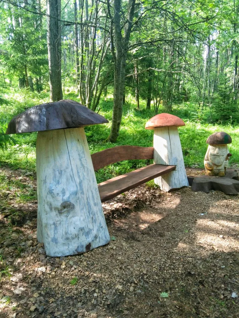 Коротко о погоде🌅
