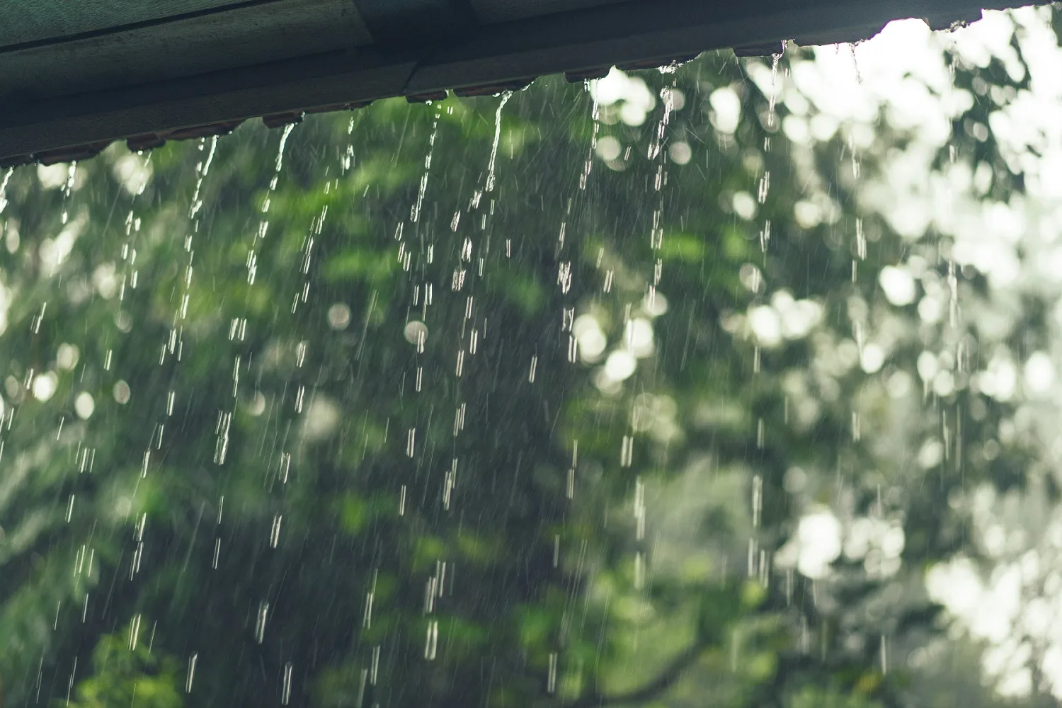 ⛈  Температура воздуха резко опустится в начале недели на Ставрополье