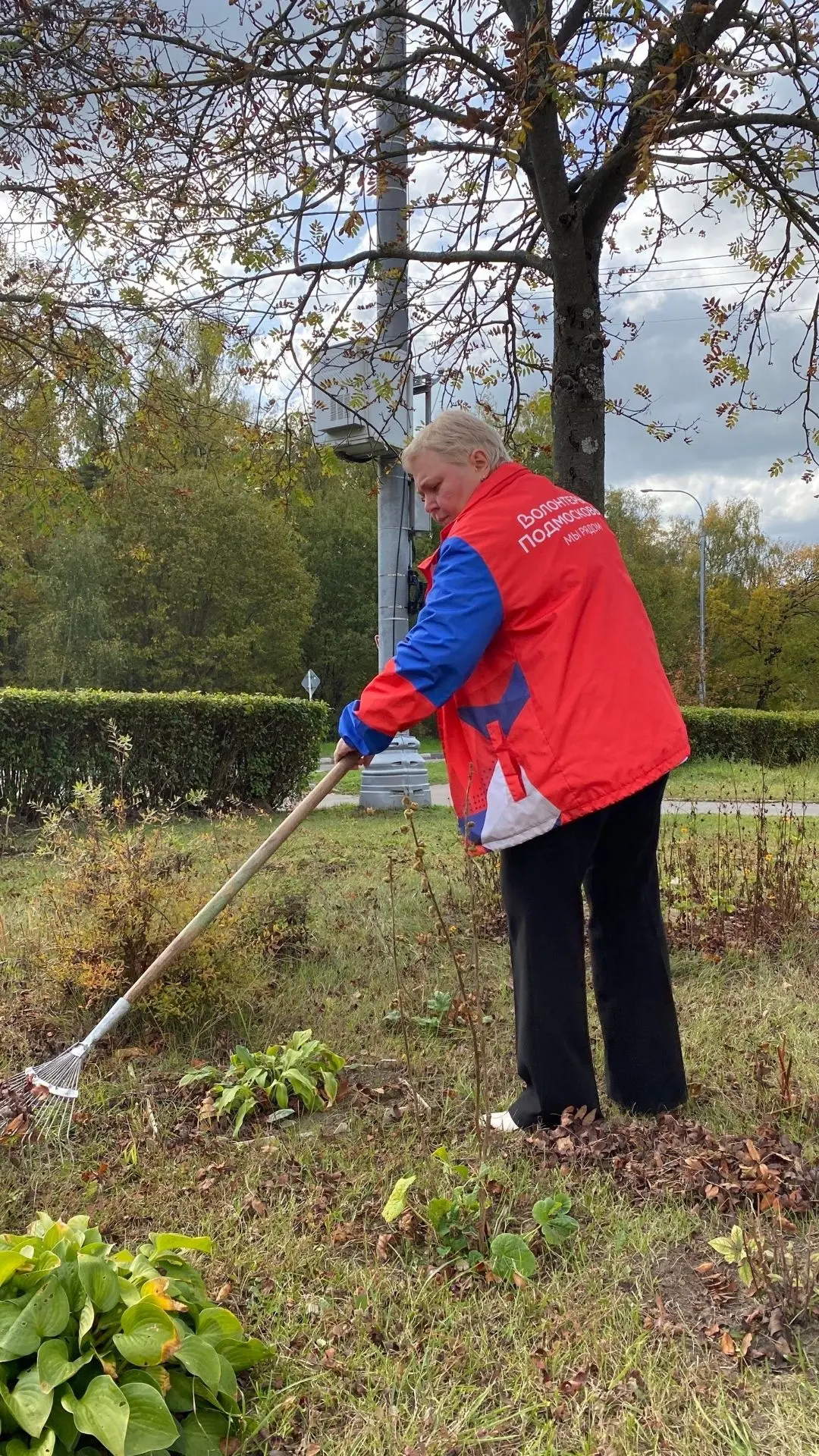 🍂 Сезон осенних уборок продолжается