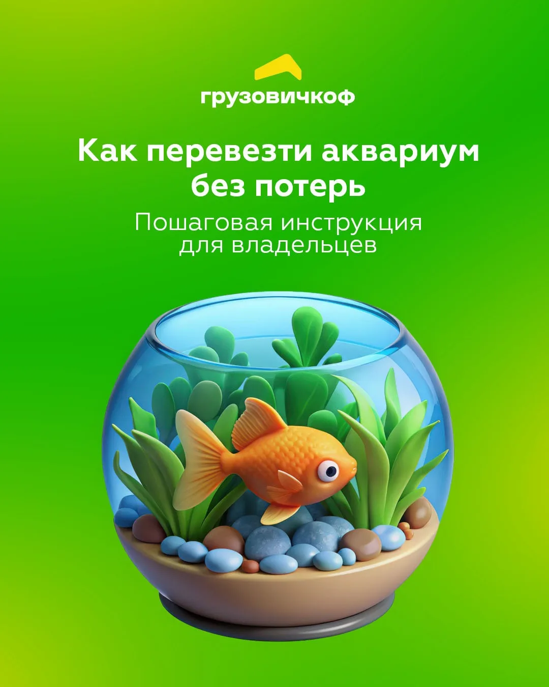 Как перевезти аквариум: инструкция для владельцев 🐠

Собрали простой пошаговый гайд, который поможе