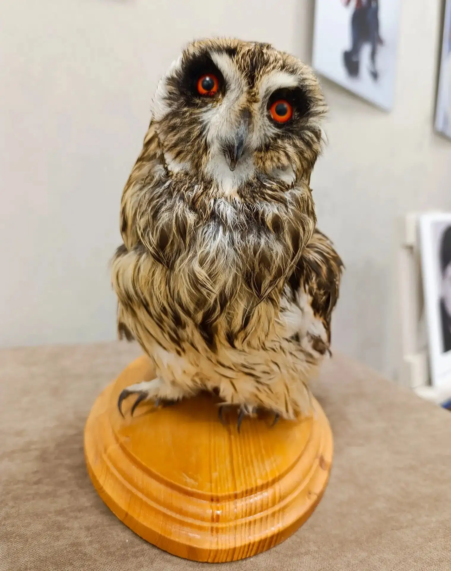 Сижу. Жду. Культурно обогащаюсь....