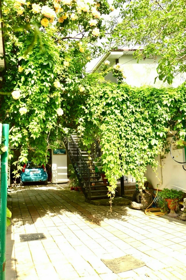 #КРЫМ #ФЕОДОСИЯ переулок Калинина, дом 24.  Хотим Вам предложить доступный, недорогой активный отдых
