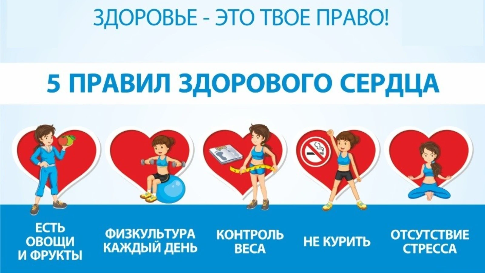 🍂 5 правил здорового сердца осенью