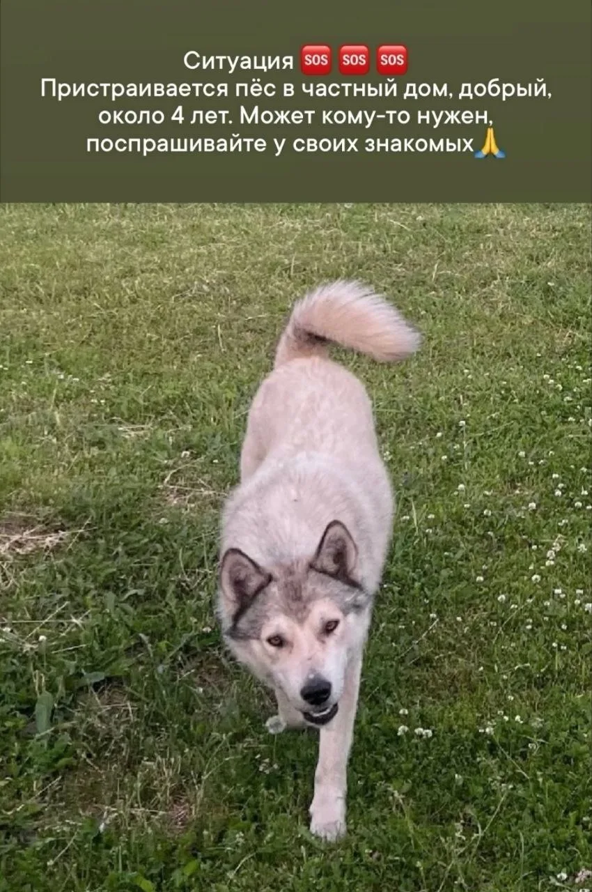 89618833584 Елена