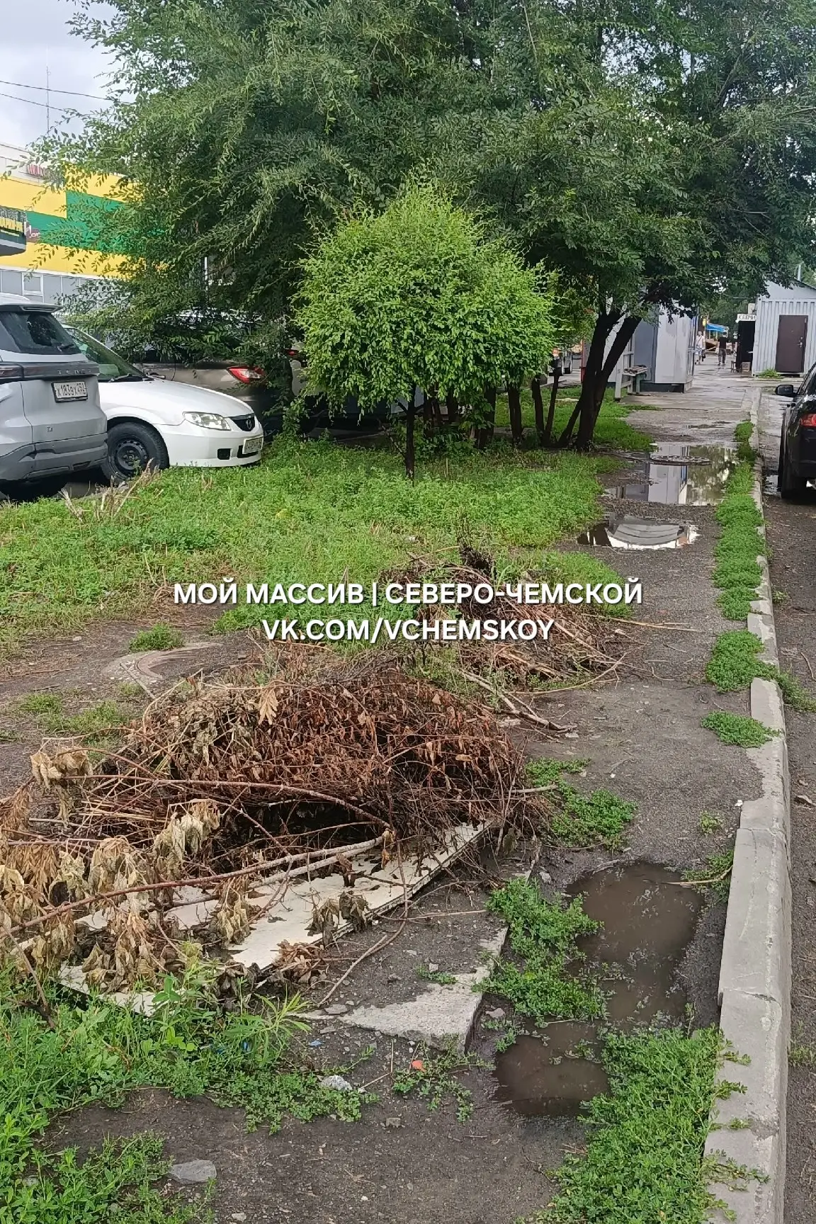 Остановка «Оловозаводская»