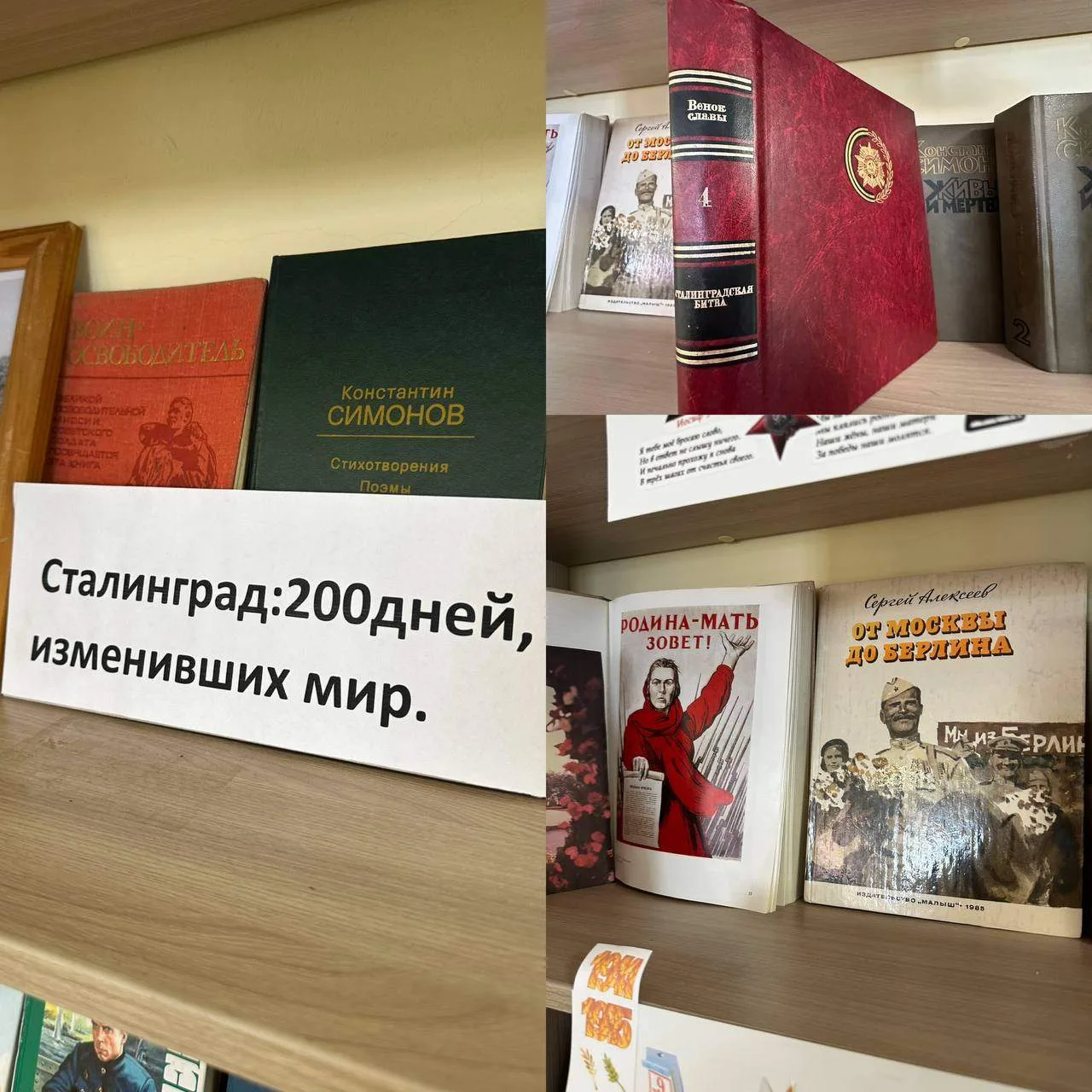 Неделя, посвященная Сталинградской битве: Тематическая полочка "Сталинград: 200 дней, и...