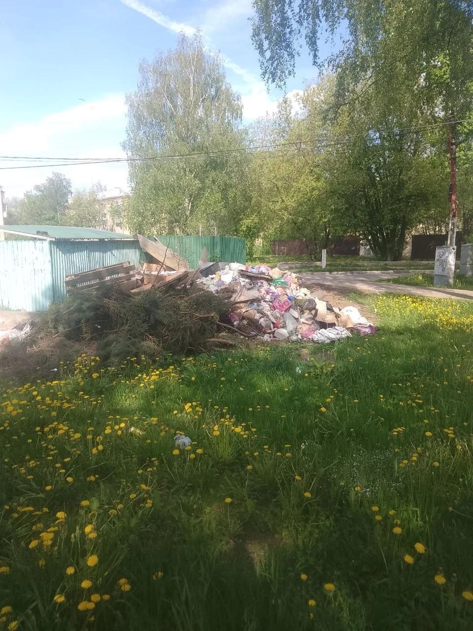 Это что за ноу-хау??? Весь мусор скинули за контейнерную площадку. Почему не загрузили все в Хартию 