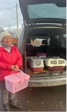 Помощь владельцам домашних животных из отдалённых уголков Вологодской области