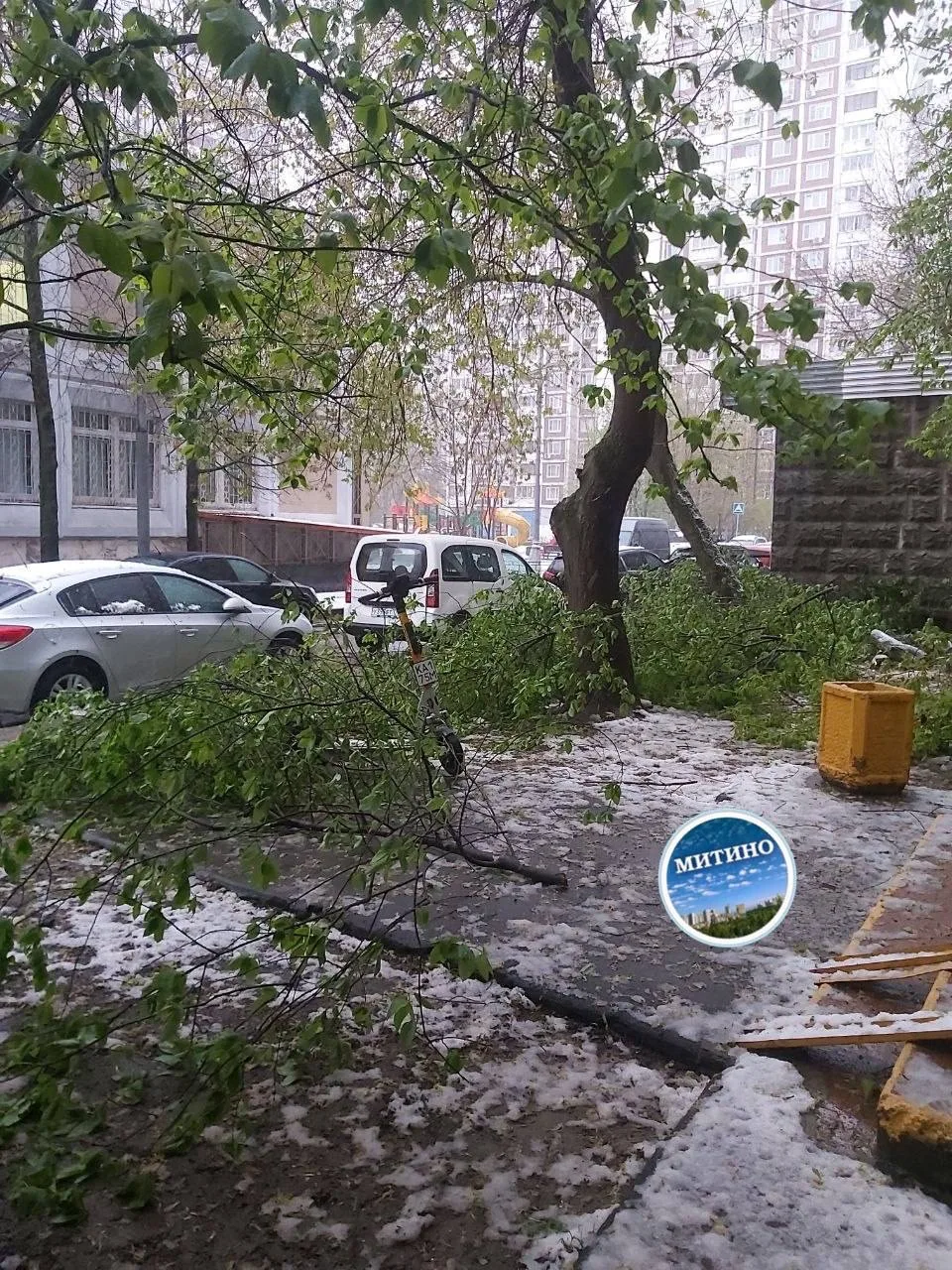 ⚡️СЕРЬЕЗНЫЙ УРОН ЧЕРЕМУХЕ нанесли прошедшие снегопады.  Жители жалуются, что их любимые деревья очен