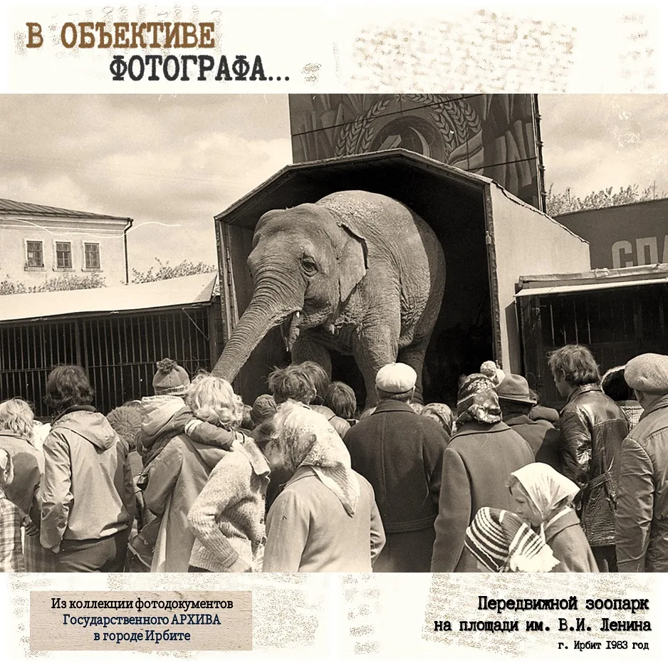 🐘 Сегодня - Всемирный день слона! 🐘