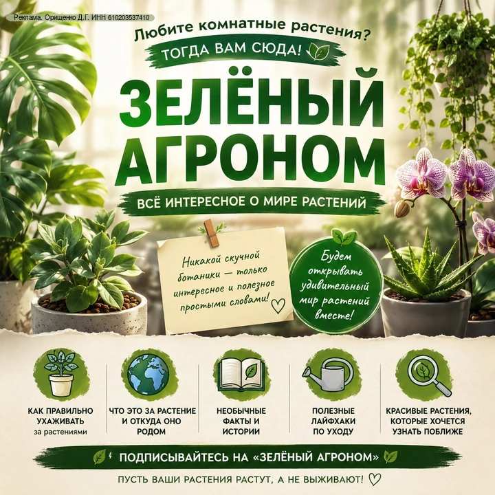 🌿 Любите комнатные растения?
