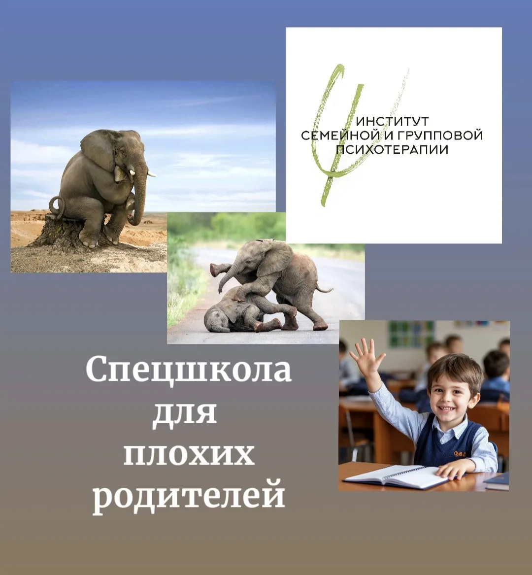 «Спецшкола для плохих родителей», информационно-образовательная группа для родителей де...