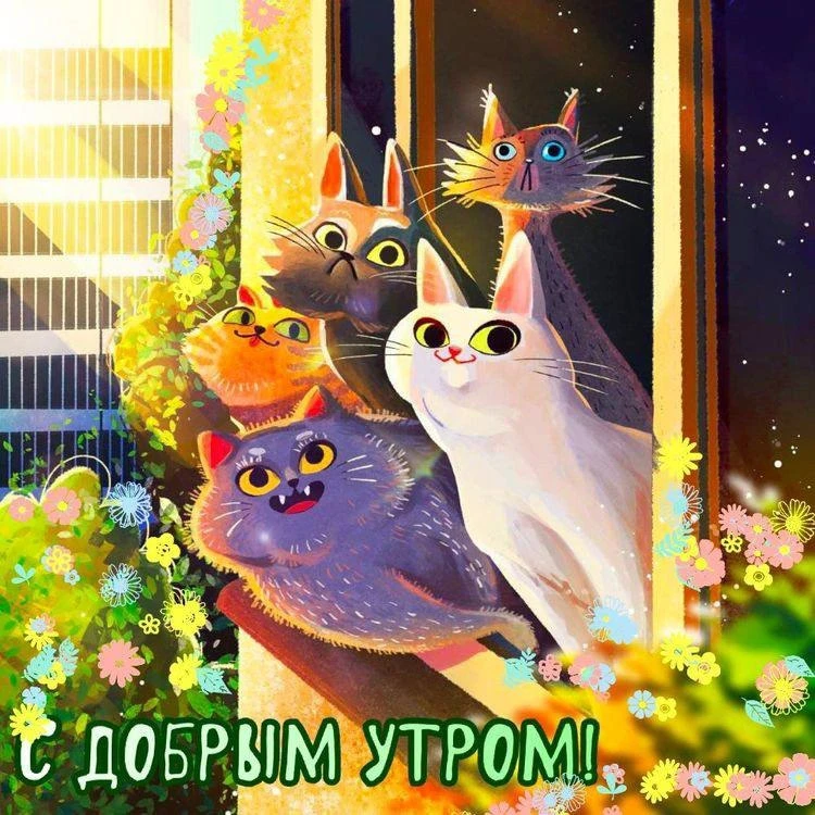 Доброе утро! 🌷