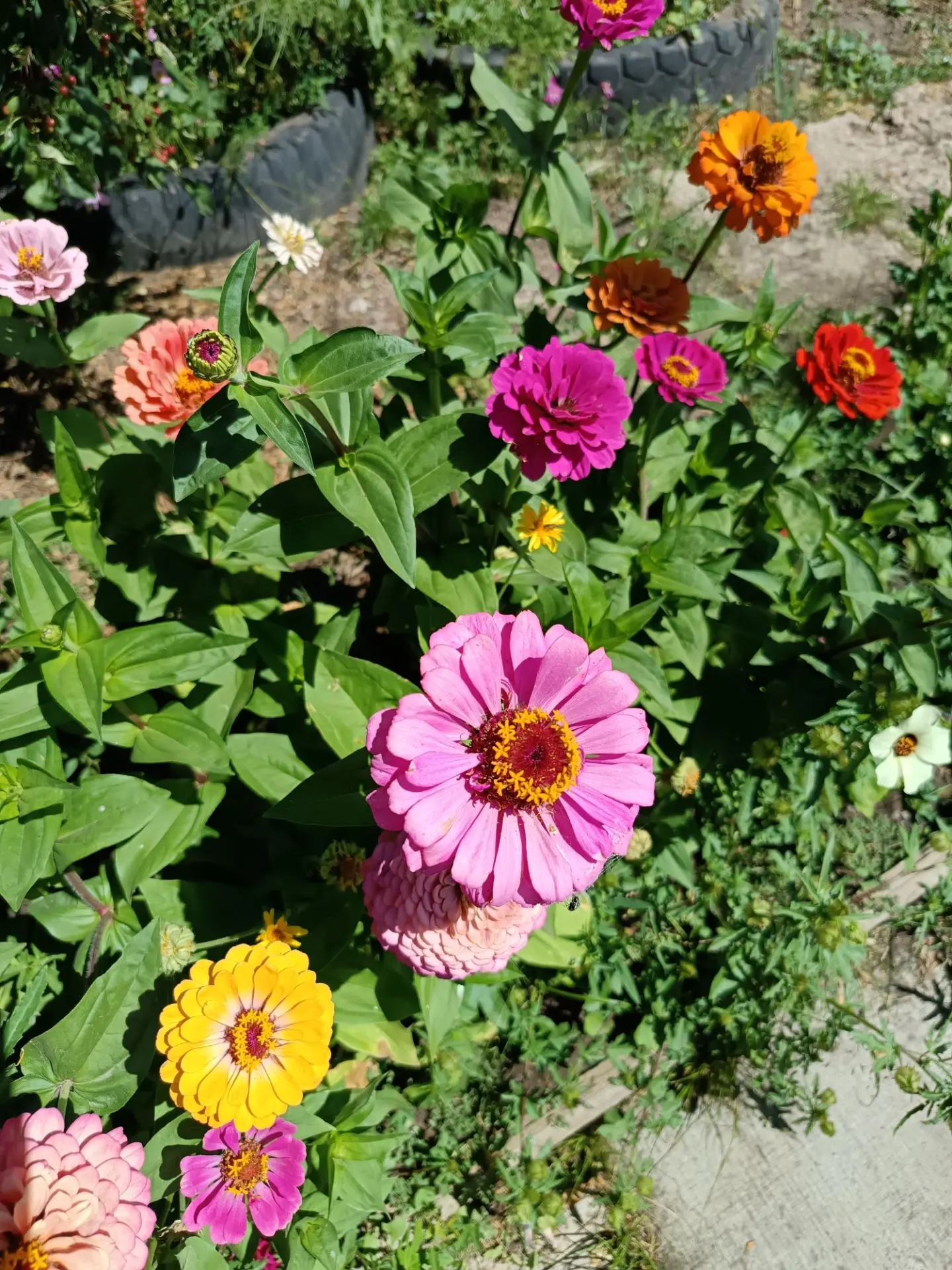 🌼 Цитата дня | 22 августа