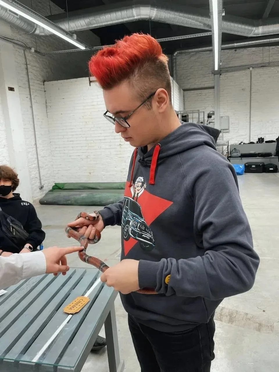 🐍