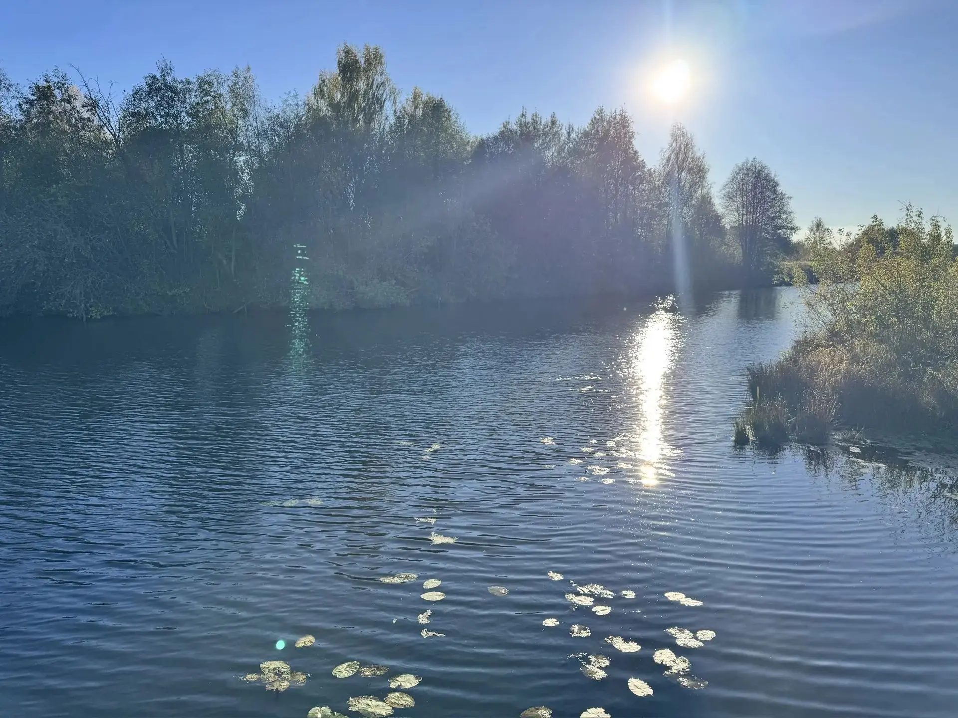 Пока где-то в России идёт снег, в Йошкар-Оле светит солнце 🌞