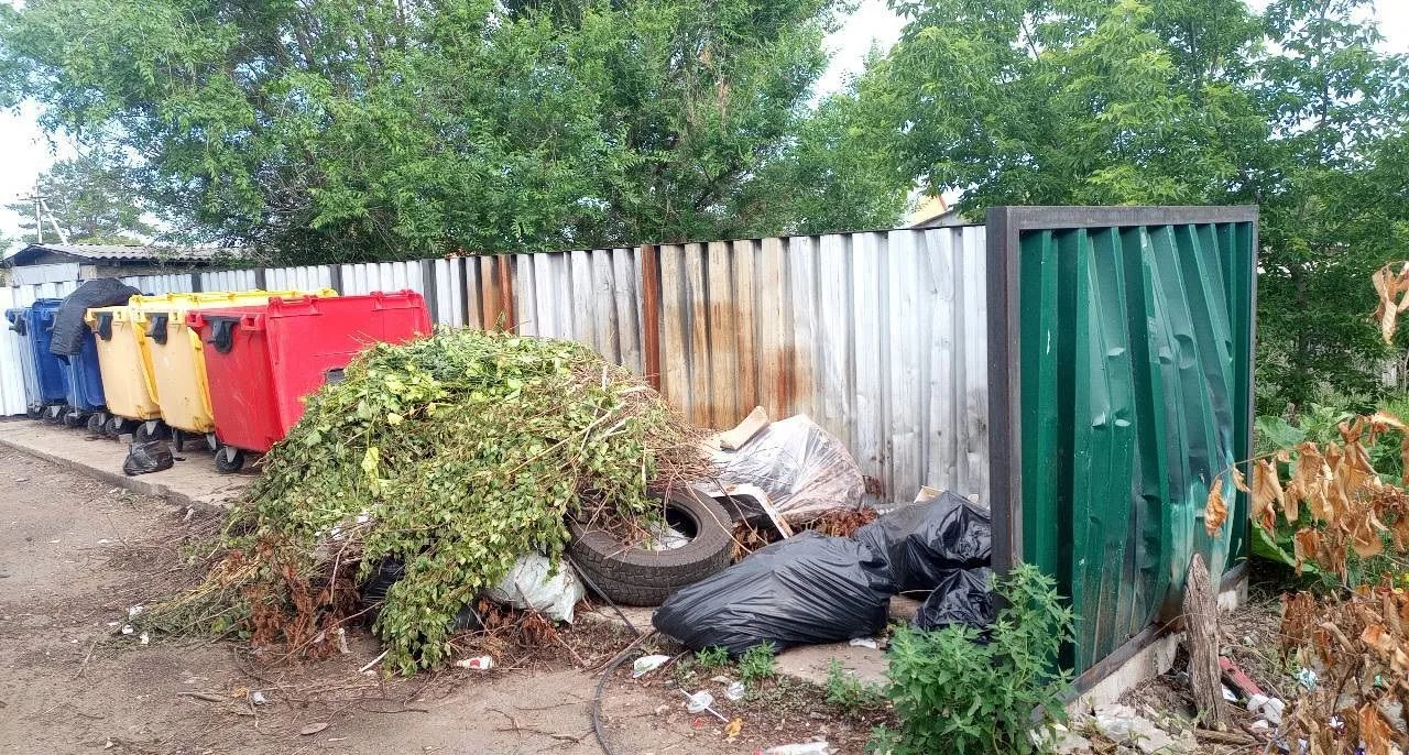 🌿 Внимание! Розыск: пропавшие ветки и листва!
 
🧾Ориентировка:
Приметы: ветки разных размеров, лис