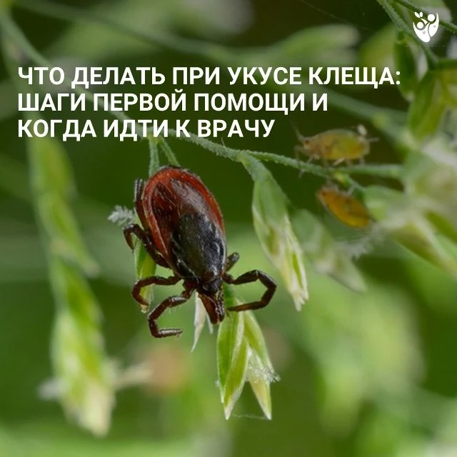 С приходом тепла, когда так хочется на пикник, прогулку в лес или дачные посиделки, про...