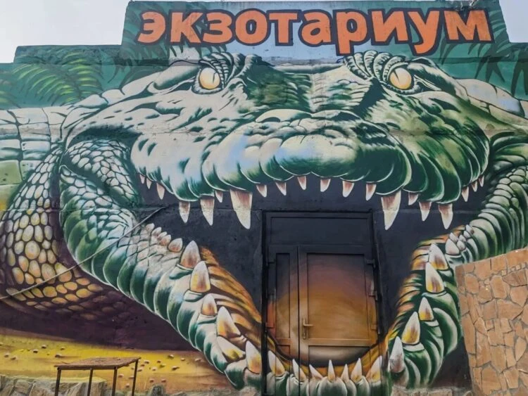 🐊 Большереченский зоопарк показал омичам новое граффити. Серия настенных росписей появ...