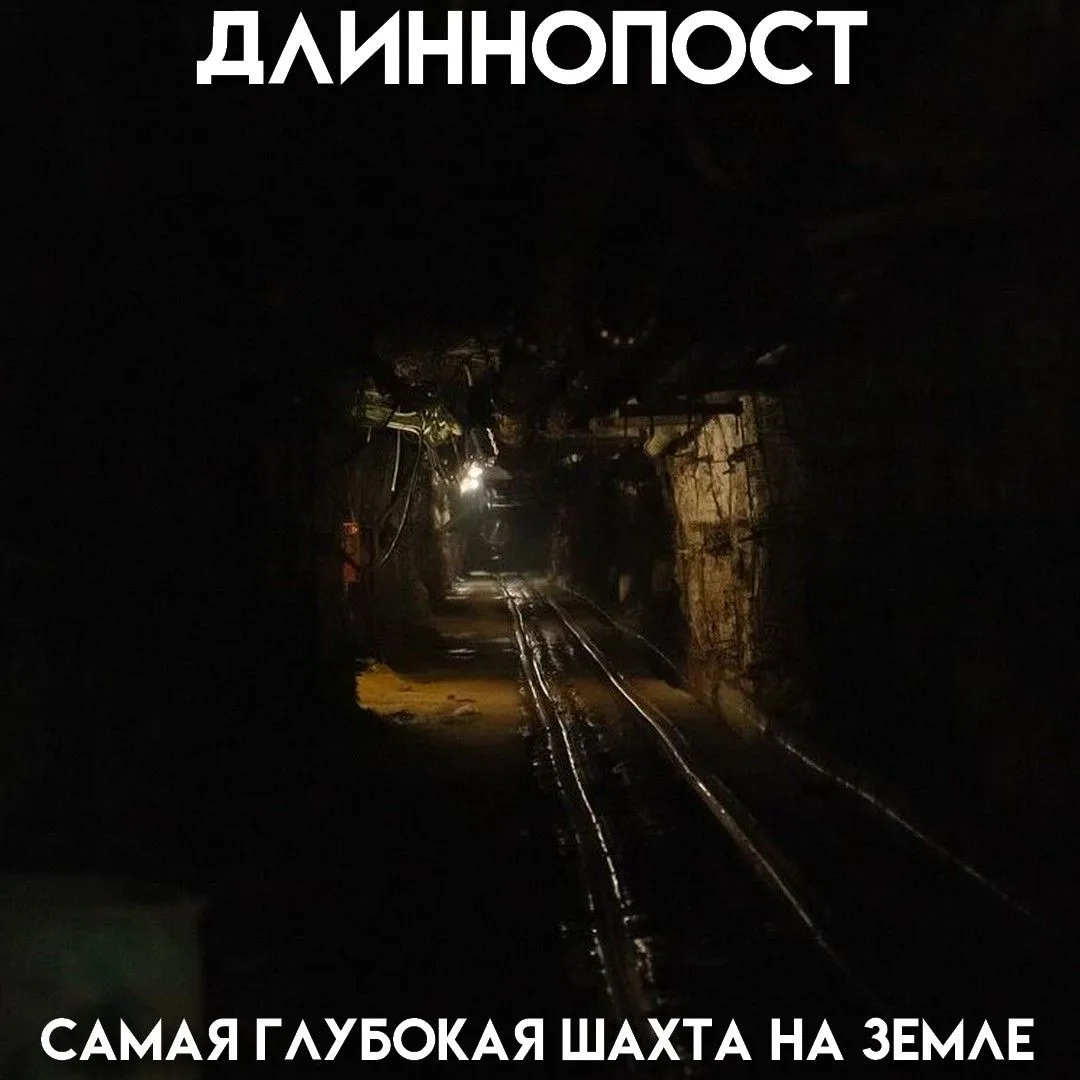 Изображение 1 к публикации «Пикабу»