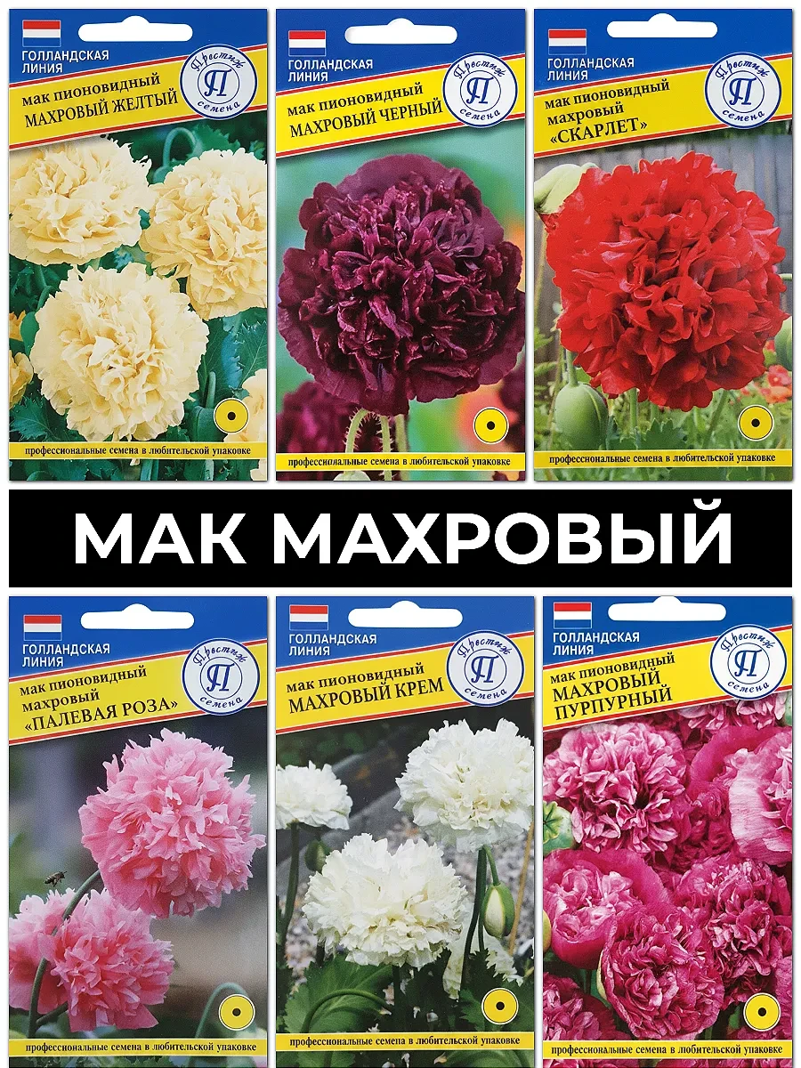 Вы не поверите, но маки могут быть просто потрясающими! Эти невероятные цветы поражают воображение. 