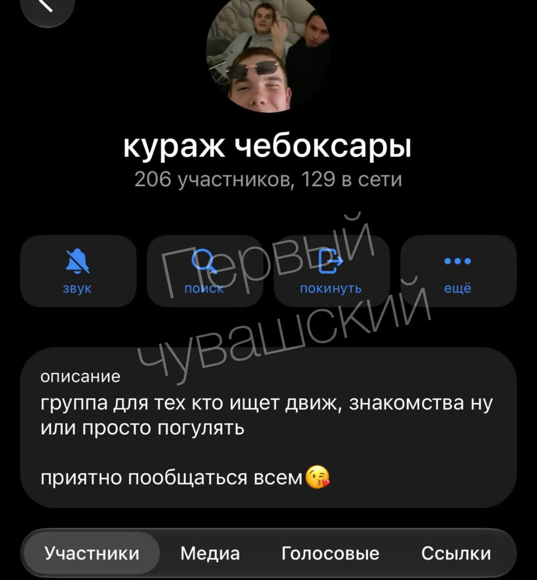 У подростков в Чувашии новый тренд: они создают чаты, где ищут компании на пьянку и эро...