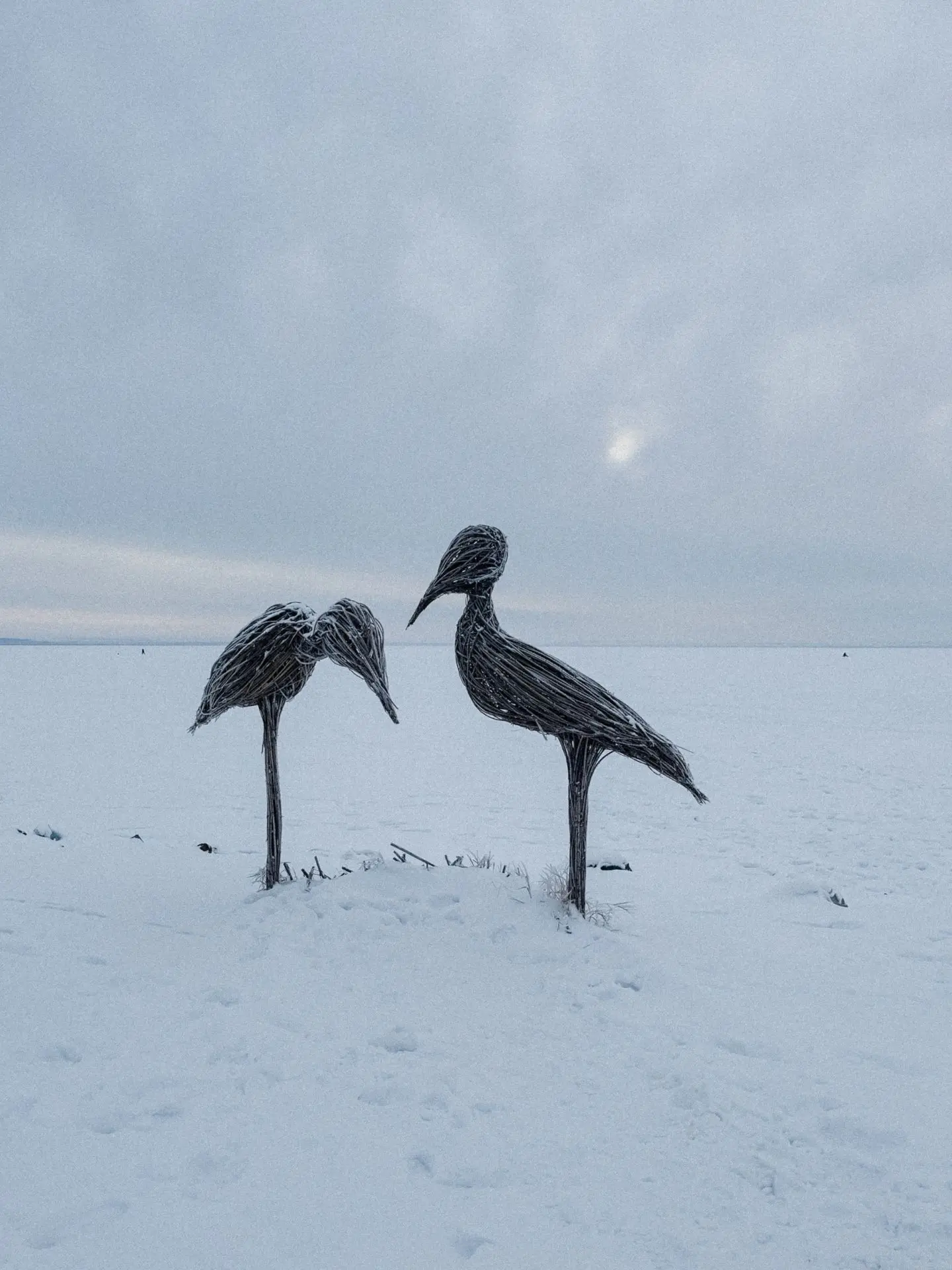 ❄️ Уже пора?