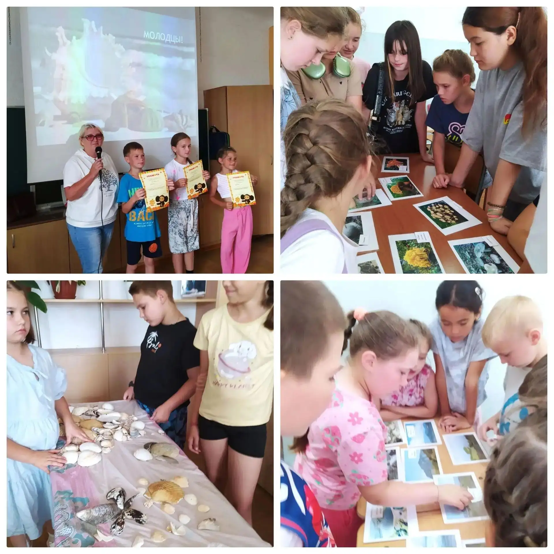 📌📍❤️«Люби и знай свой край: Скрытые сокровища Приморских пляжей и Японского моря» под таким назван
