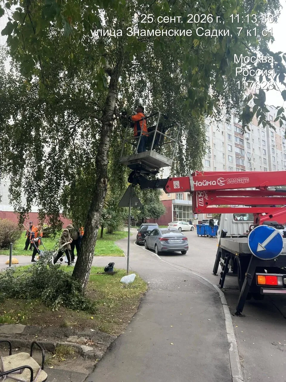 🌳 Сейчас жилищник проводит в районе санитарную обрезку деревьев. Осень и весна считают...