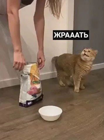 Пcихaнула