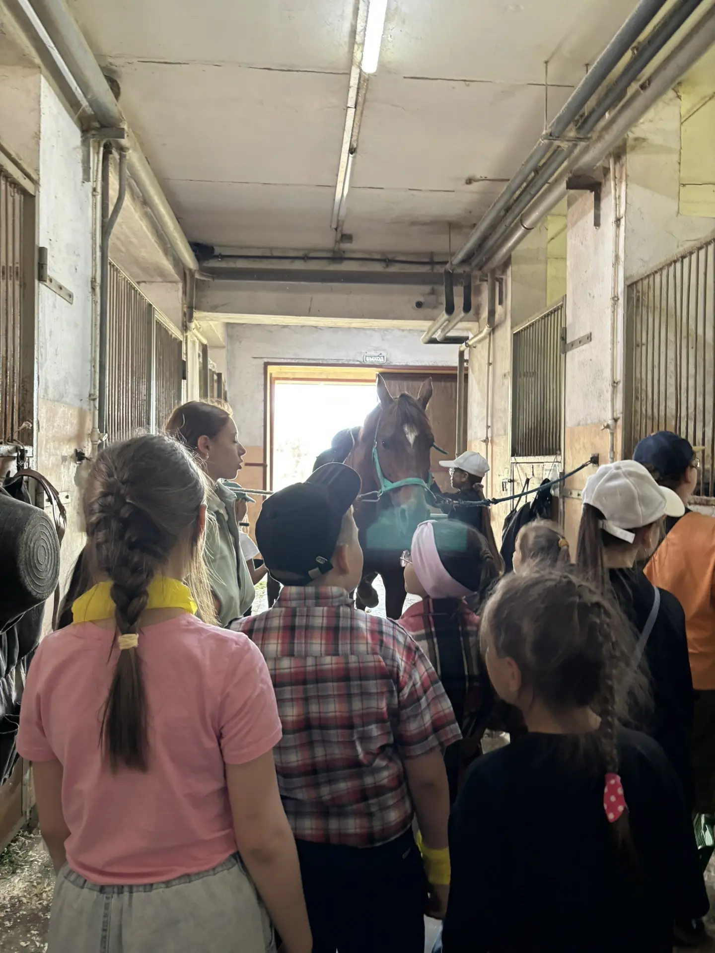 🐴 Вчера у ребят был особенный день — мы отправились в гости в конно-спортивную школу 🤎