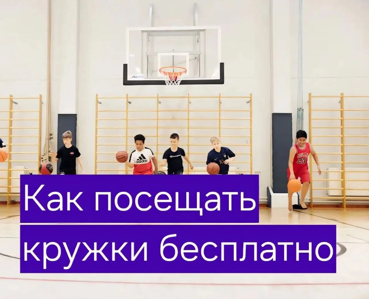 🎒 Как бесплатно ходить на кружки и секции детям за счёт государства?