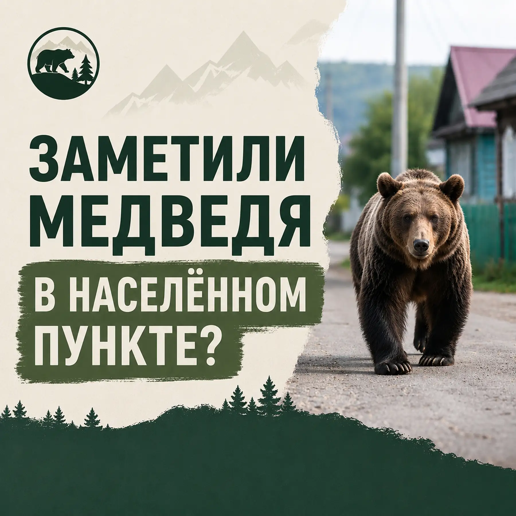 Если вы заметили медведей в населённых пунктах или рядом с жилыми массивами, соблюдайте...
