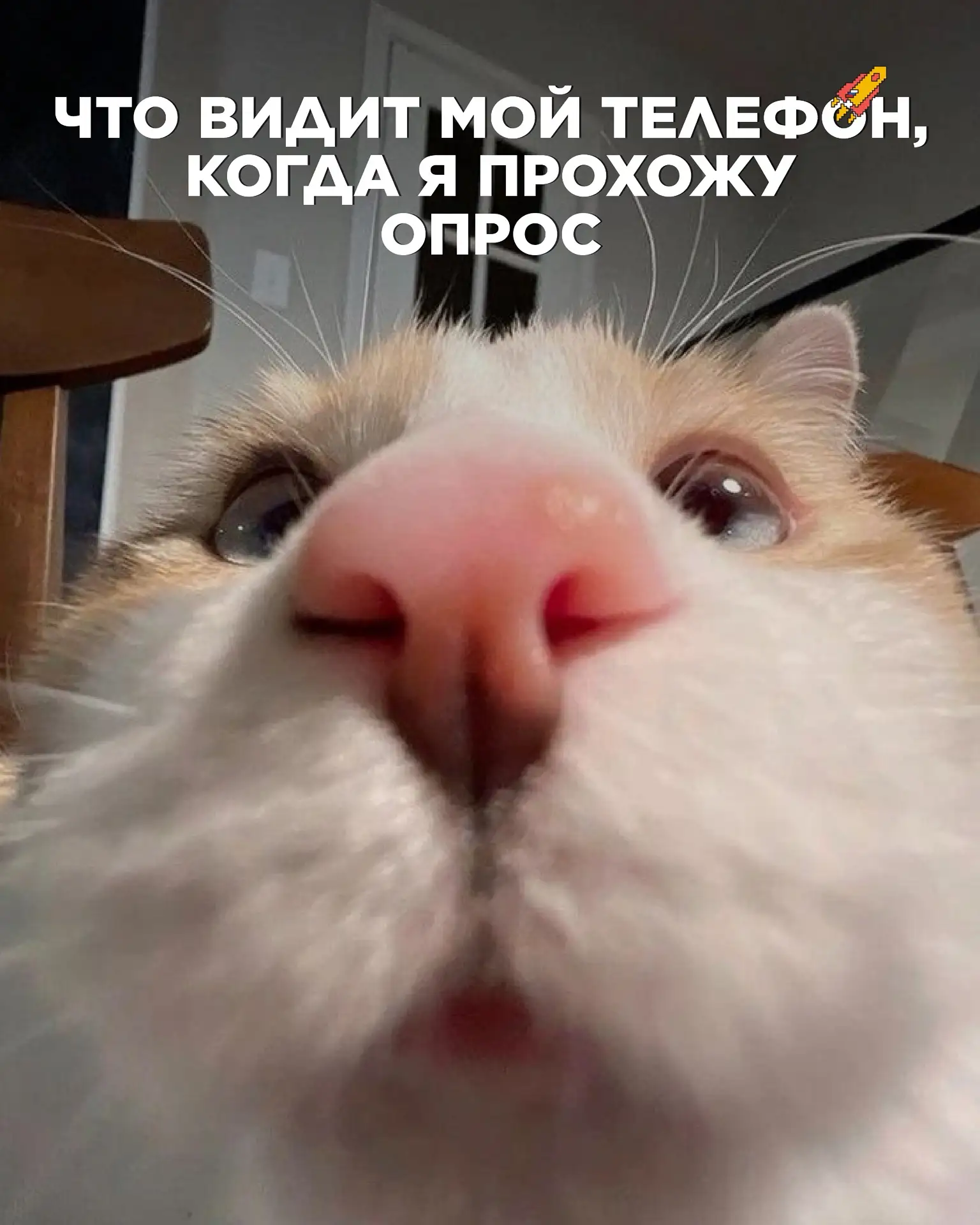Пс...
Пройди опрос 👀