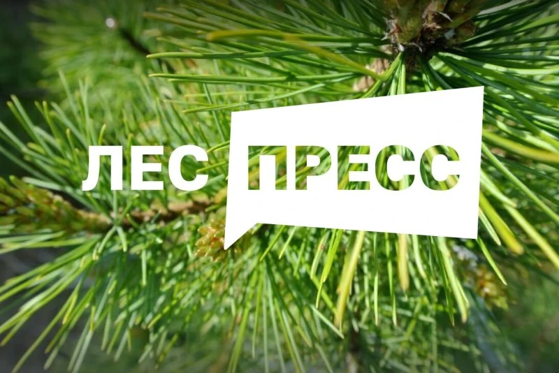 Рослесхоз: стартовал прием заявок на IV Всероссийский конкурс для журналистов и блогеров "ЛЕС-ПРЕСС"