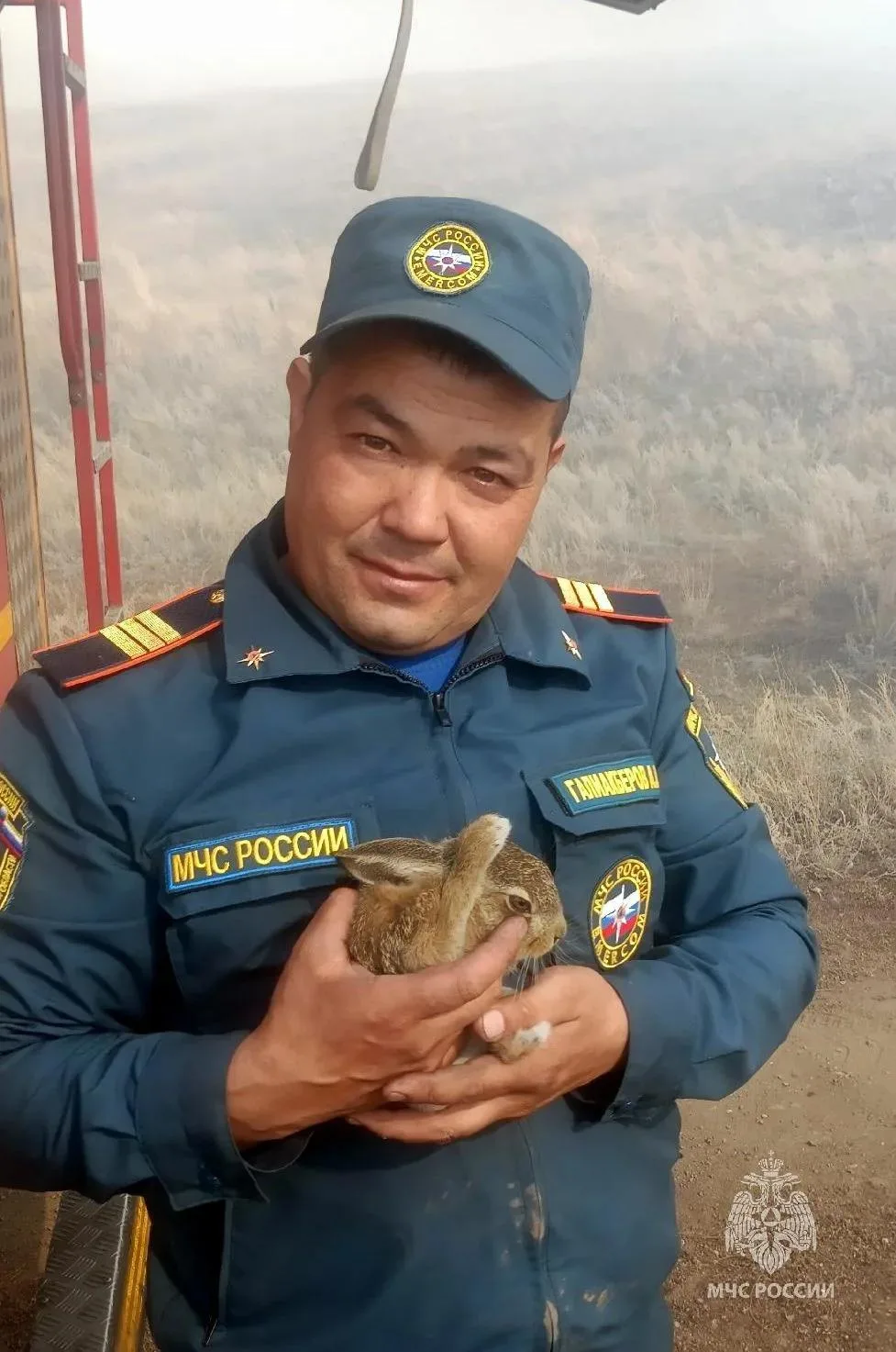 Зайчонок выскочил к сотрудникам МЧС, когда они тушили ландшафтный пожар у поселка Мусин...