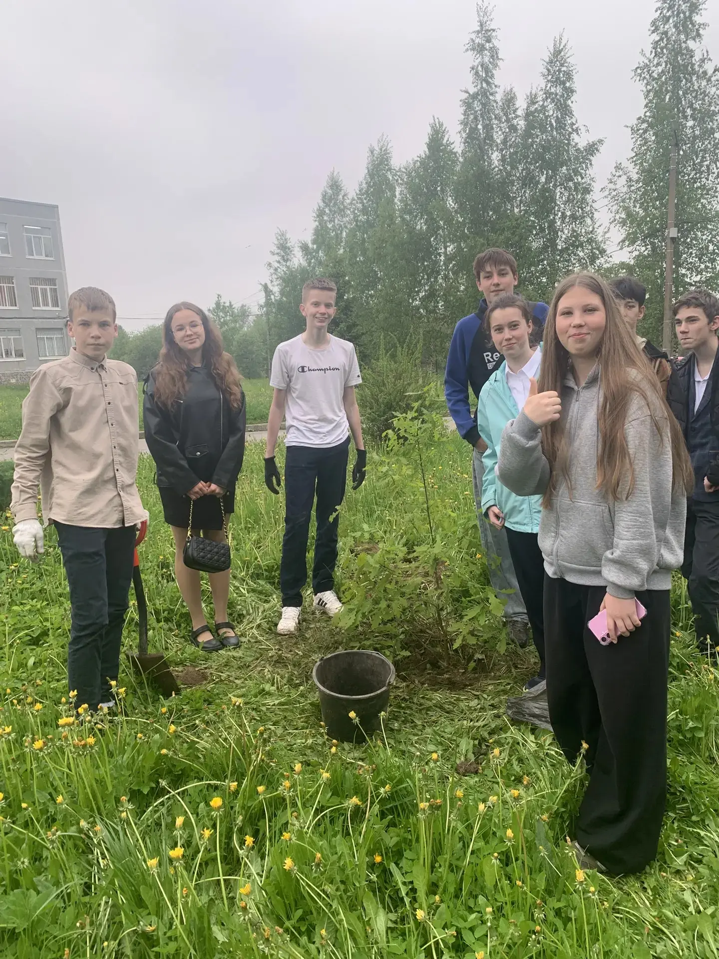 🌳В последние учебные дни обучающиеся 8в класса высадили молодые дубки на пришкольной т...