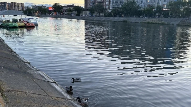 🌤️ В последний день июля астраханцам будет не так жарко

Воздух прогреется до 32–33 °С.

По данным 