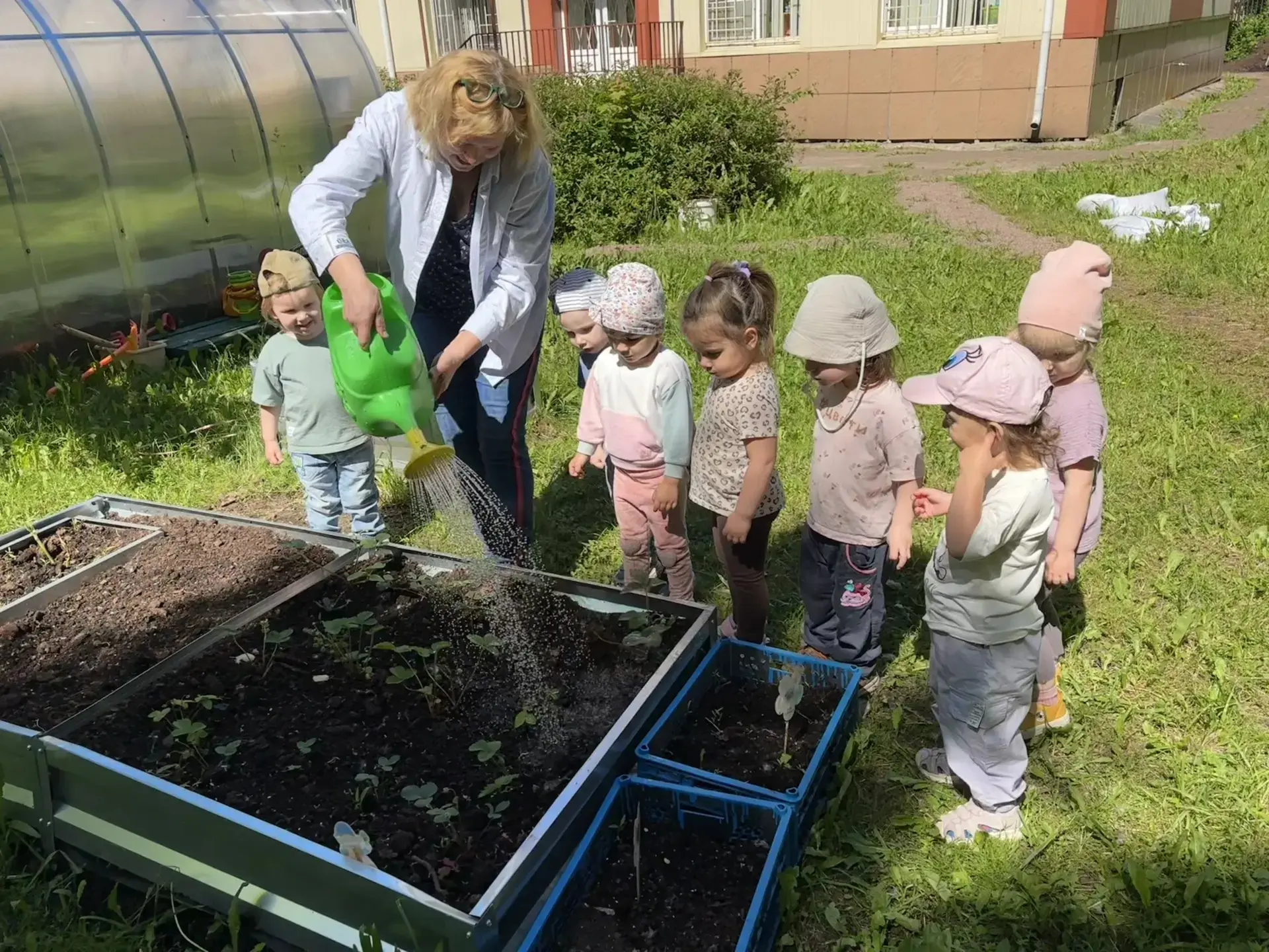 🌱 У нас в детском саду есть свой уютный огород и теплица. 

Малыши с восторгом наблюдают, как потих