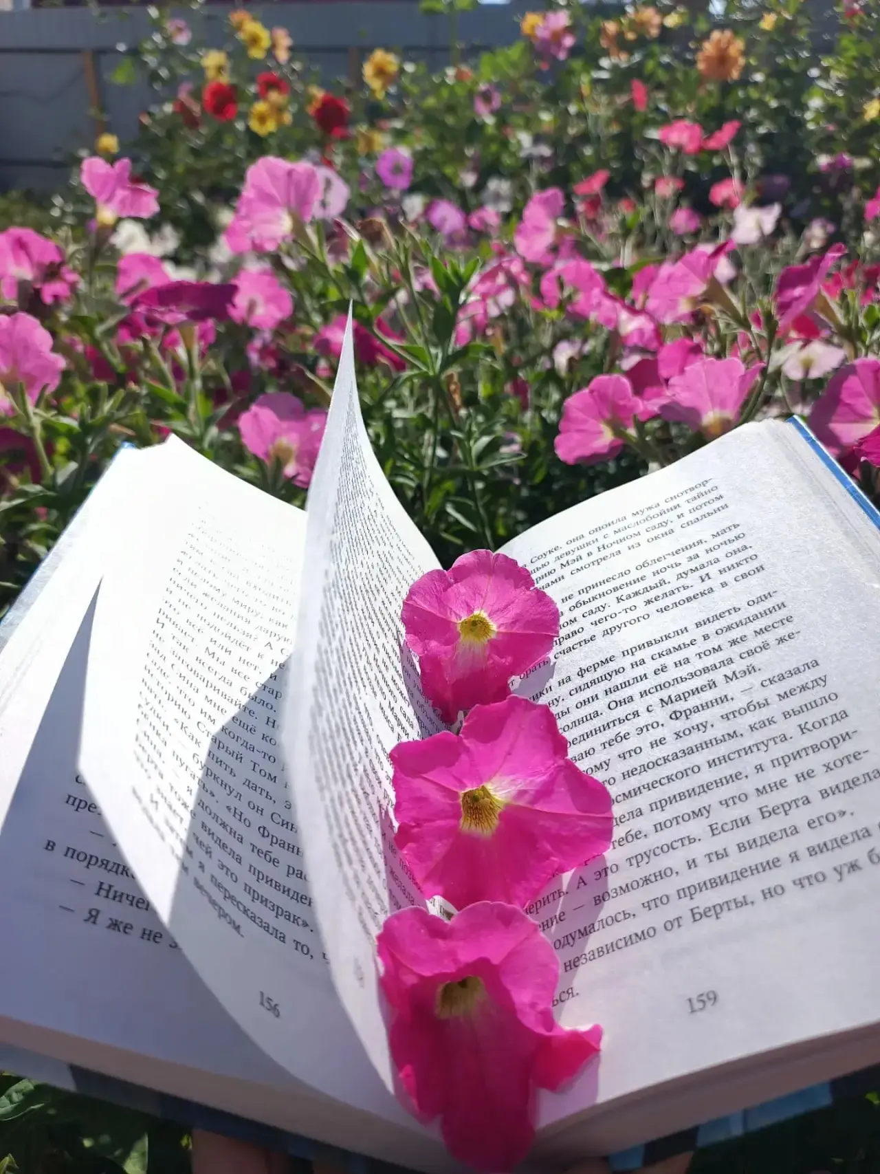 Доброе утро! ✨ Пусть новая неделя будет как увлекательная книга — с ярким сюжетом и нео...