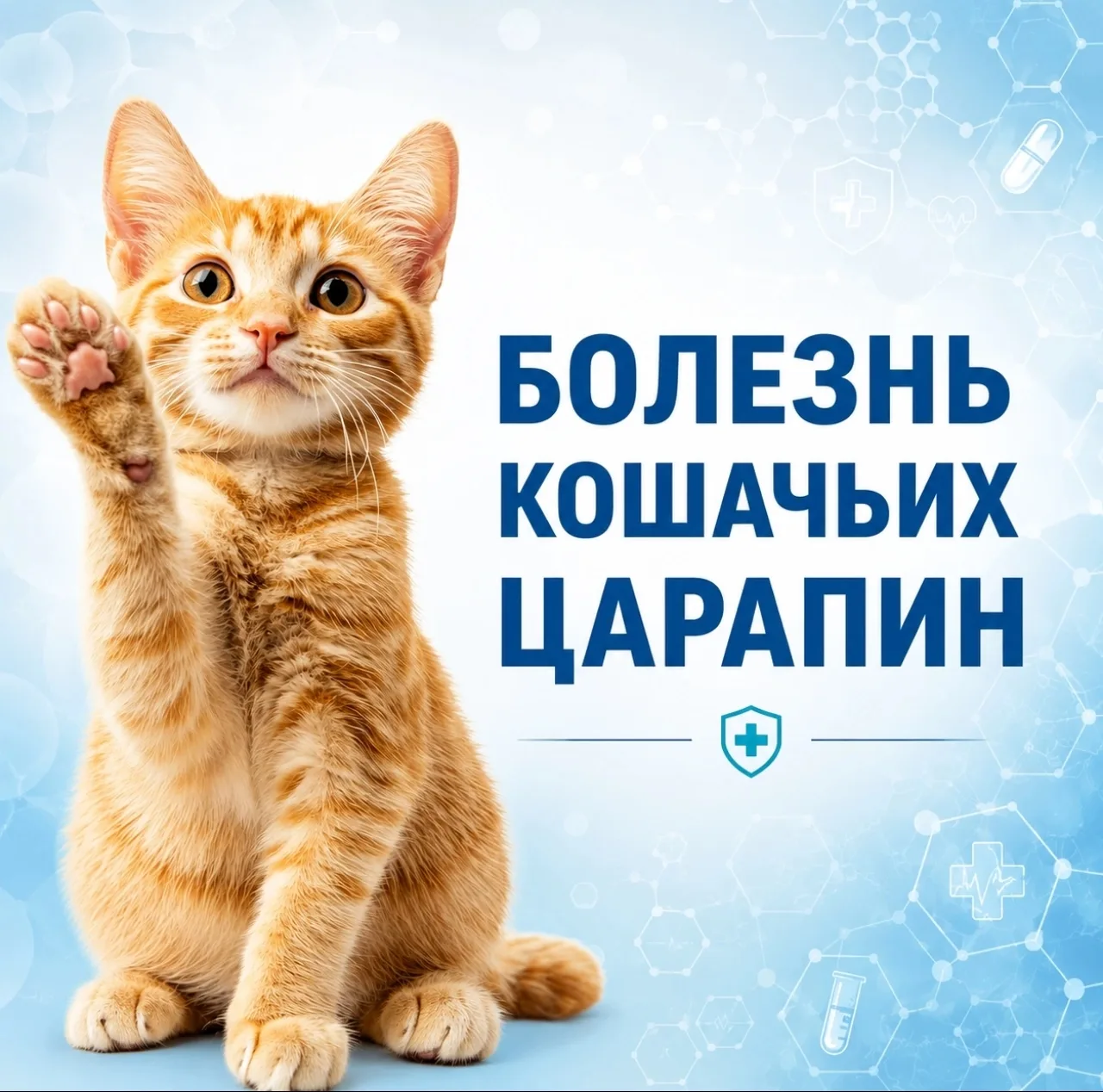У некоторых кошек в организме живут бактерии Bartonella henselae. Чаще всего они встречаются у котят