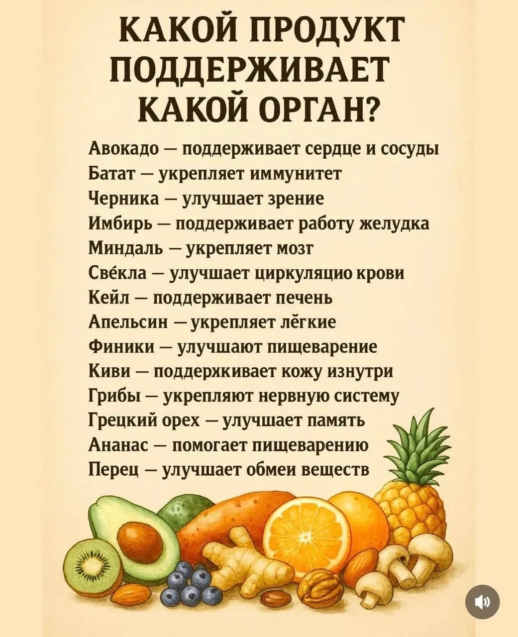 🟢Какой продукт поддерживает какой орган?