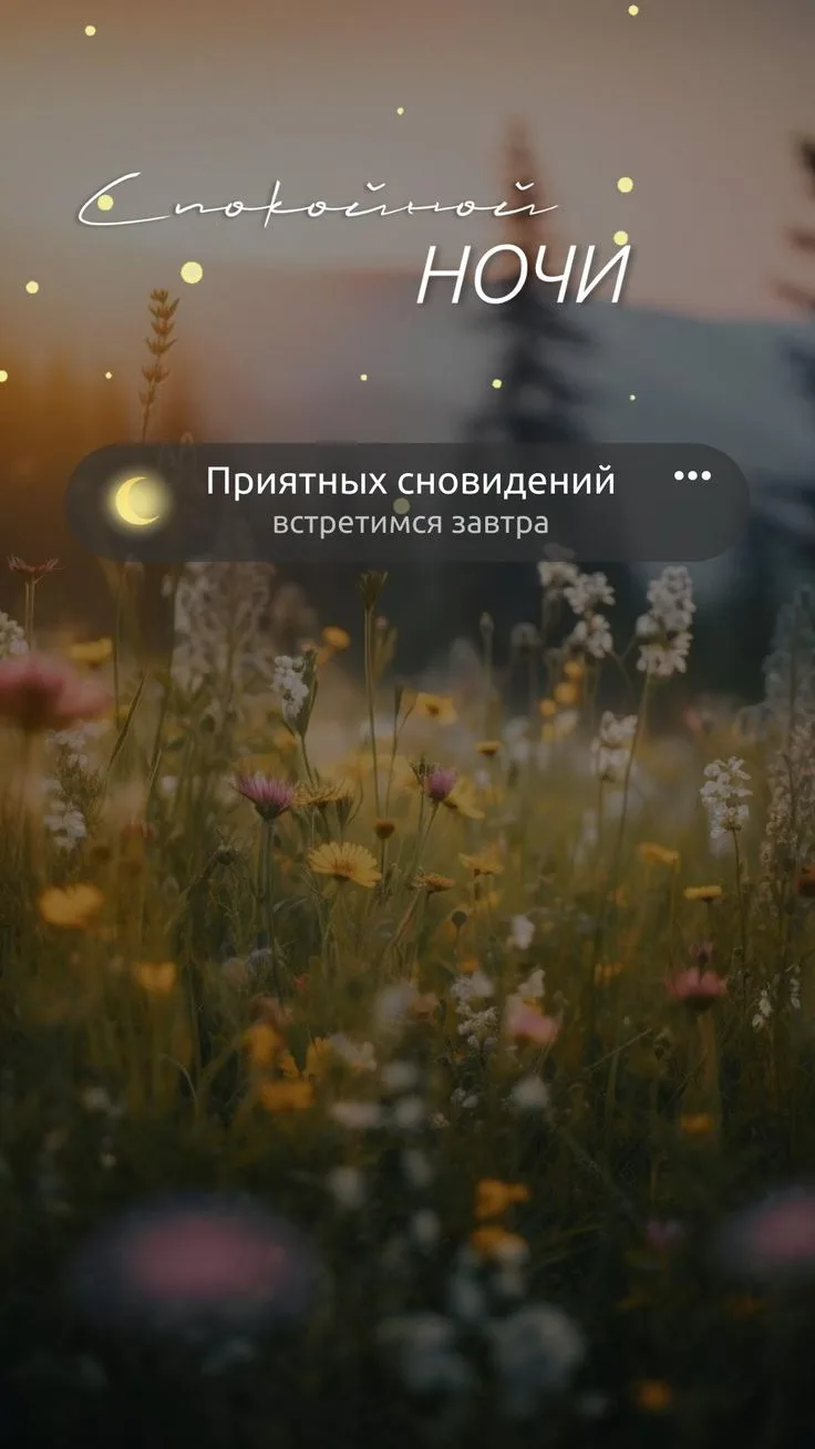 🌜 Доброй ночи!